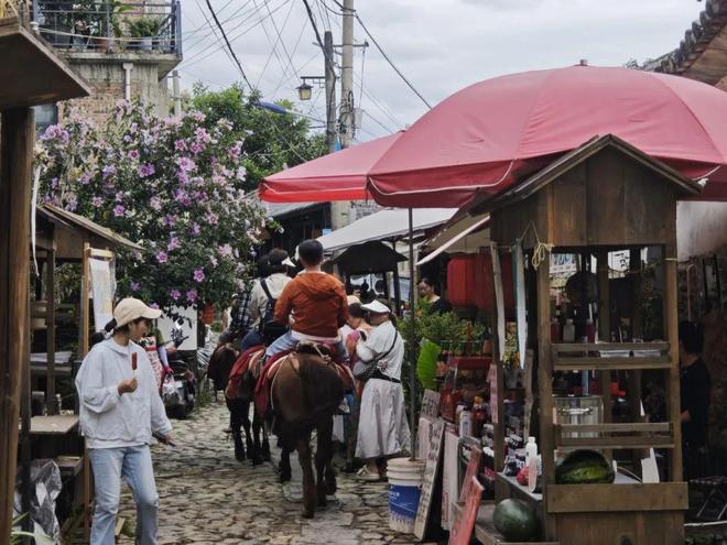 留量”艺术扎根结出“金果子”AG旗舰厅平台凤阳邑流量变“(图5)