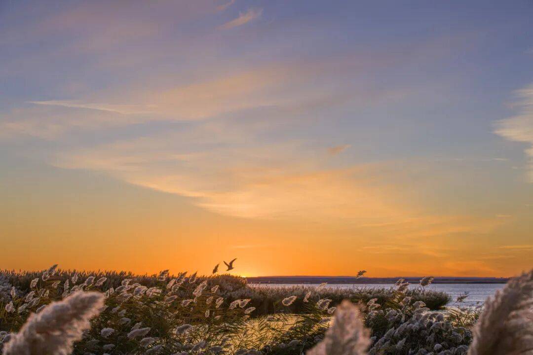 日落-居延海日出-巴丹吉林沙漠-大漠胡杨林-金塔嘉峪关丨7日深度行AG旗舰厅首页秋醉额济纳丨兰州-张掖七彩丹霞-额济纳胡杨林-怪树林(图2) 日落-居延海日出-巴丹吉林沙漠-大漠胡杨林-金塔嘉峪关丨7日深度行AG旗舰厅首页秋醉额济纳丨兰州-张掖七彩丹霞-额济纳胡杨林-怪树林(图2)